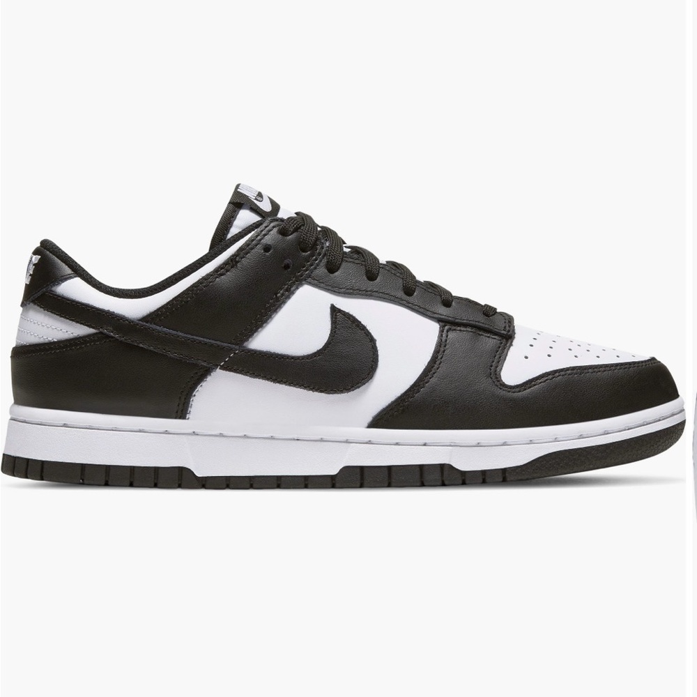 Brand new Nike Dunks